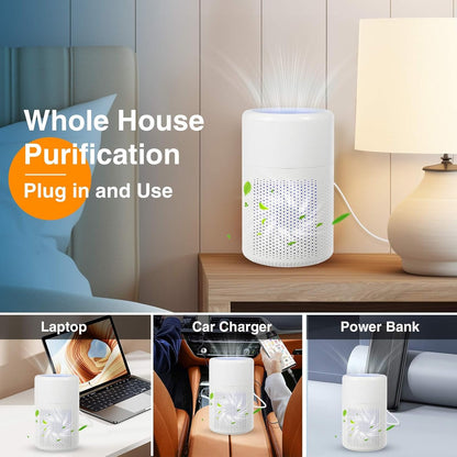 🔥Purificador de aire anti-formaldehído para el hogar