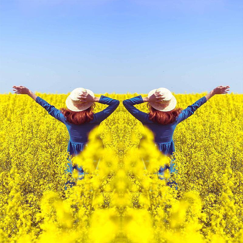 Lente con efecto espejo: captura reflejos impresionantes al instant