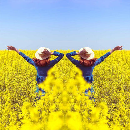 Lente con efecto espejo: captura reflejos impresionantes al instant